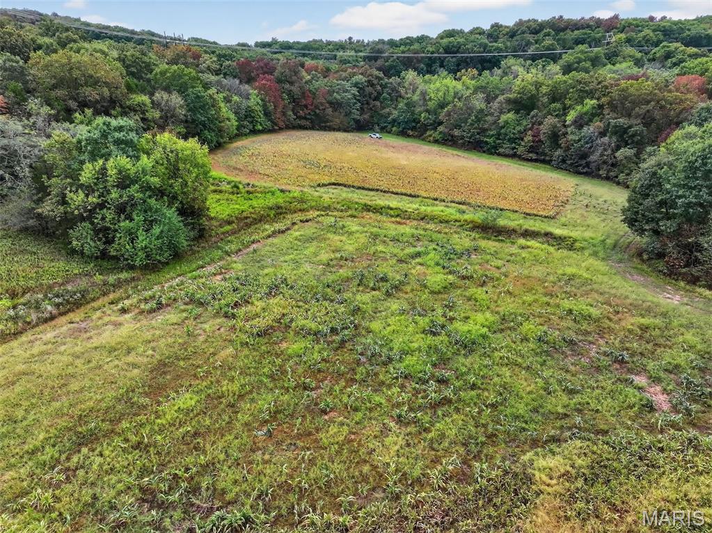 10+/-ac Lot1 Circle Acres Drive Property Photo 14