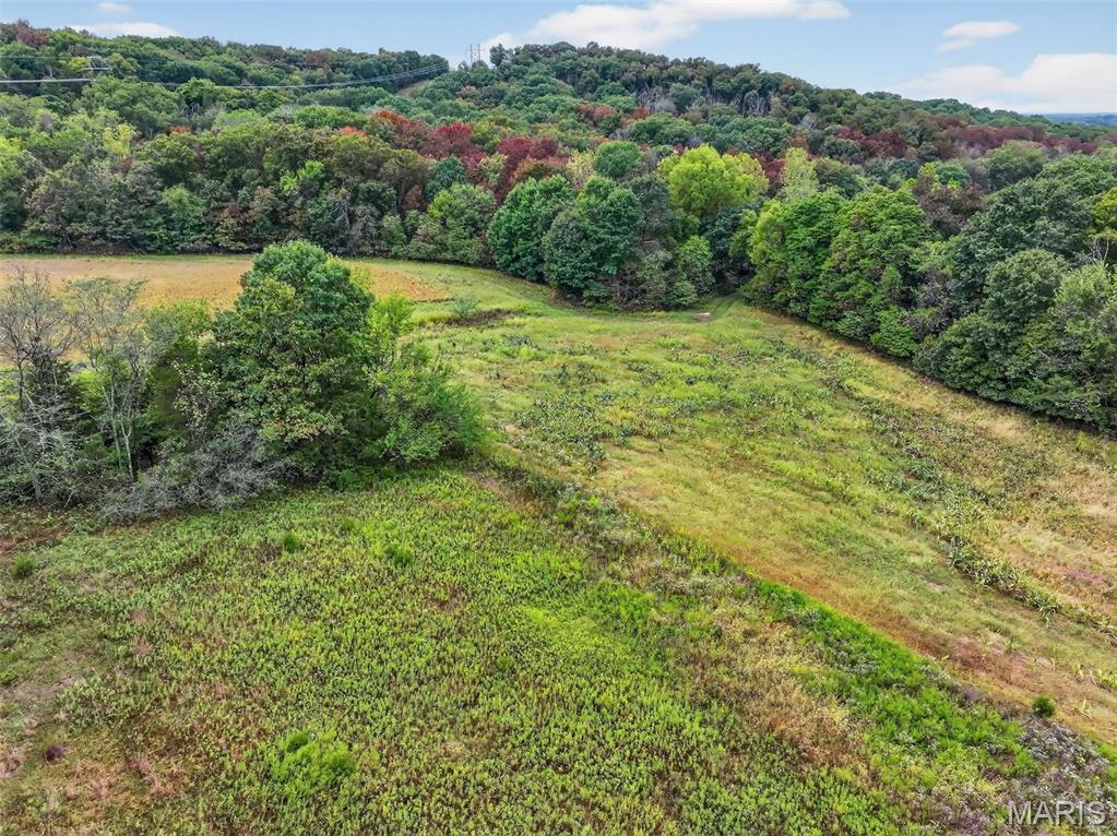10+/-ac Lot1 Circle Acres Drive Property Photo 15