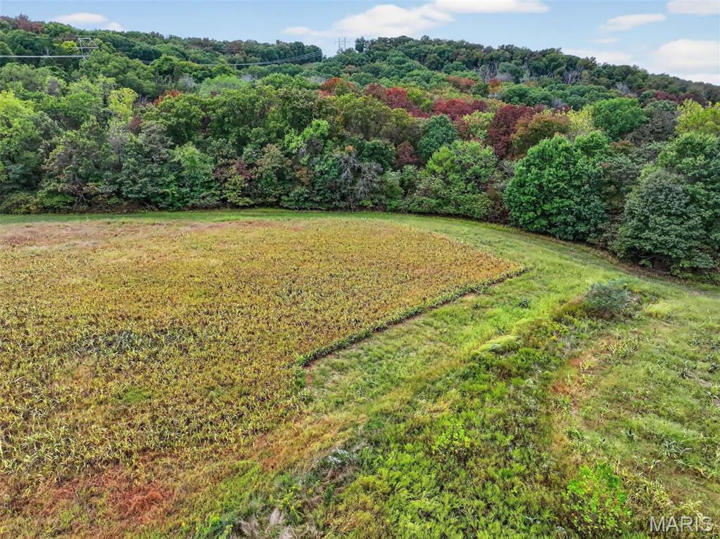 10+/-ac Lot1 Circle Acres Drive Property Photo 16