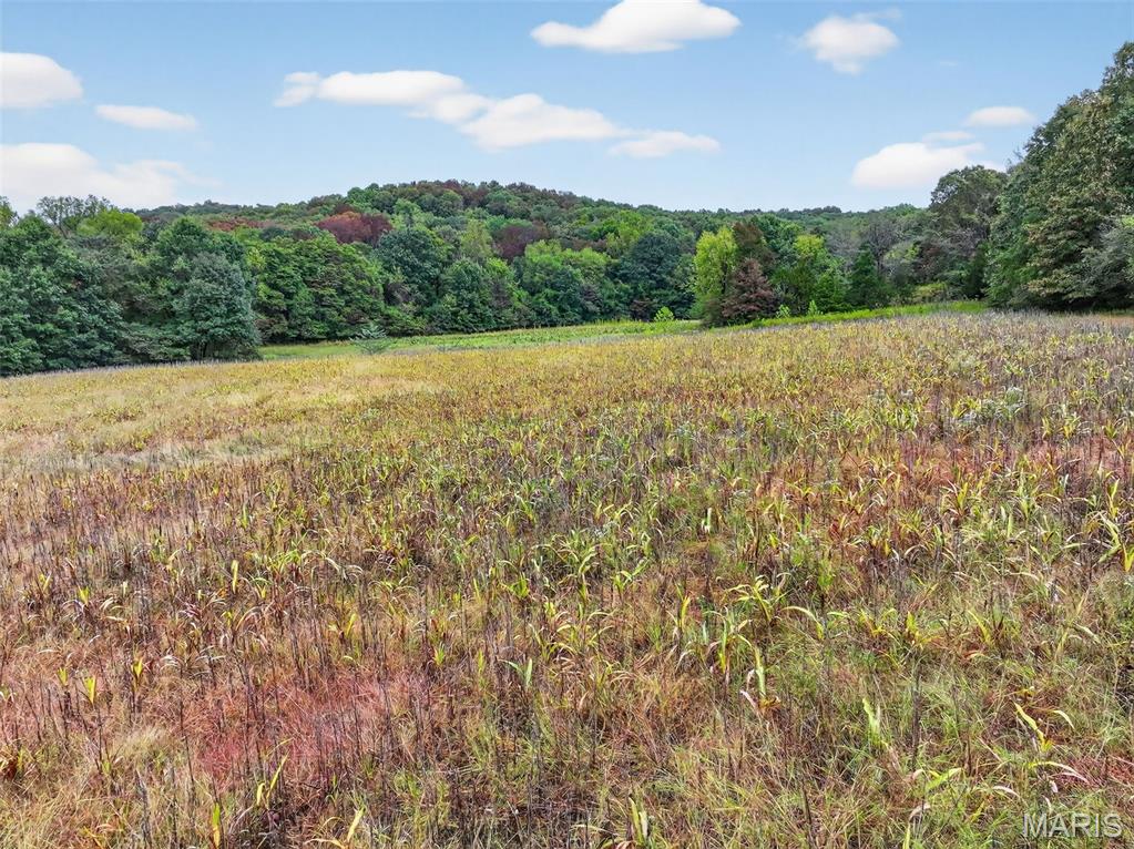 10+/-ac Lot1 Circle Acres Drive Property Photo 17