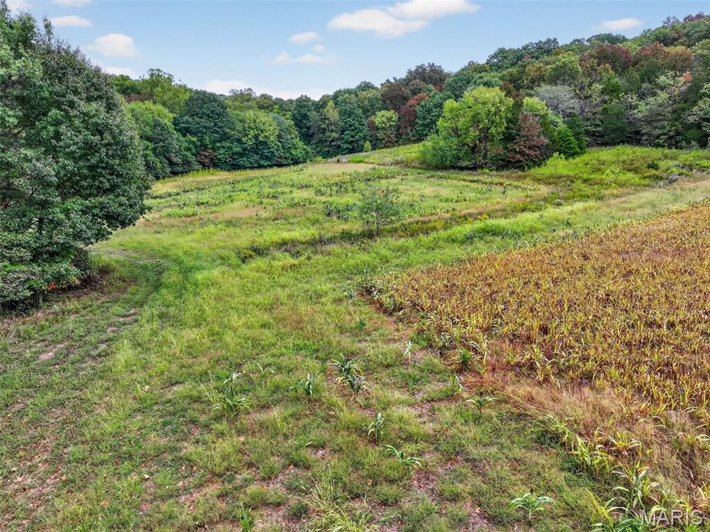 10+/-ac Lot1 Circle Acres Drive Property Photo 18