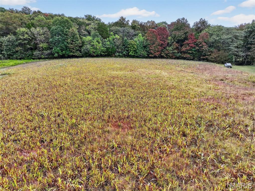 10+/-ac Lot1 Circle Acres Drive Property Photo 19