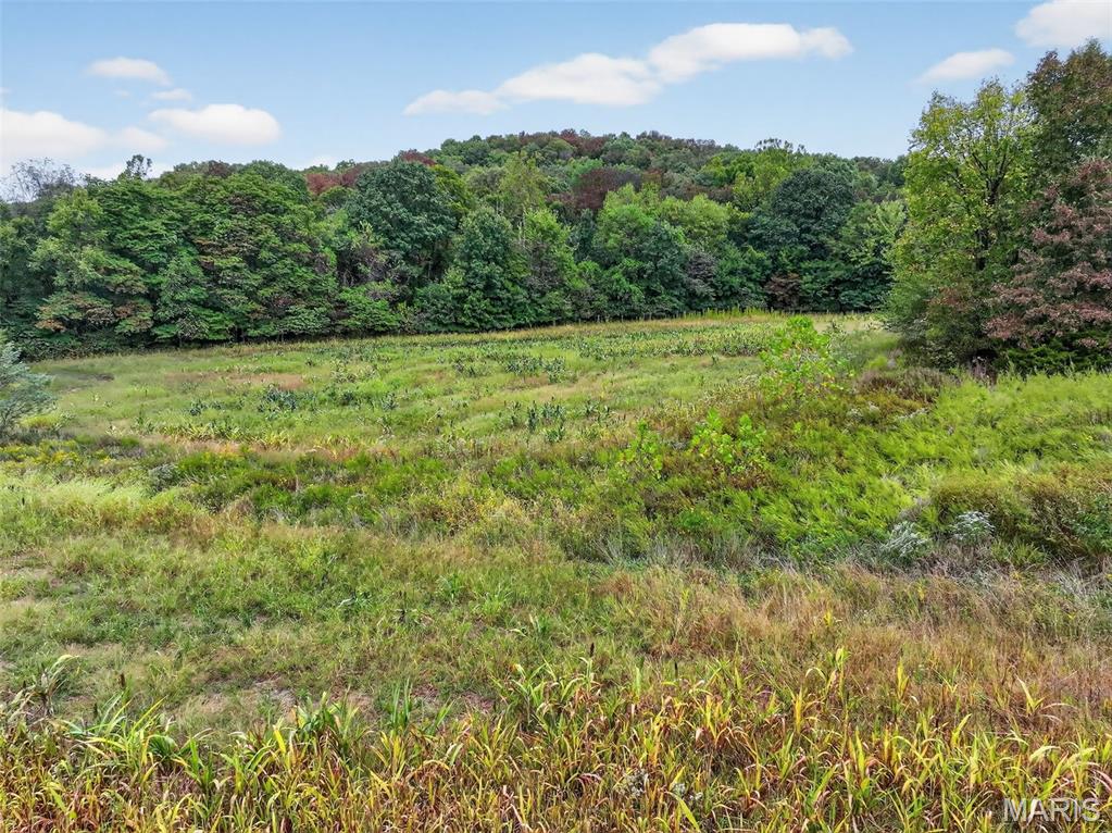 10+/-ac Lot1 Circle Acres Drive Property Photo 20
