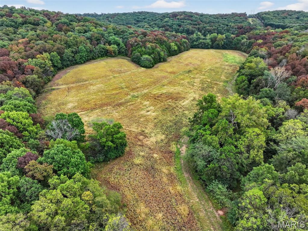 10+/-ac Lot1 Circle Acres Drive Property Photo 21
