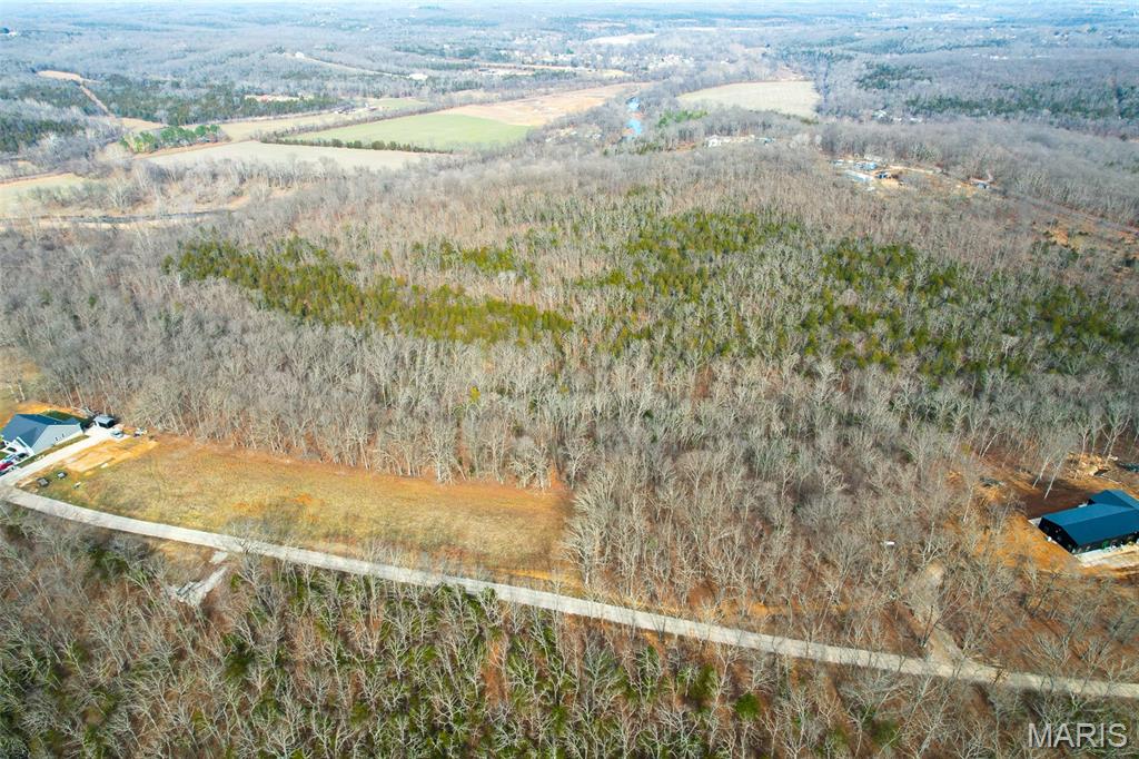 809 Sanctuary Farms Ridge Road Property Photo 6