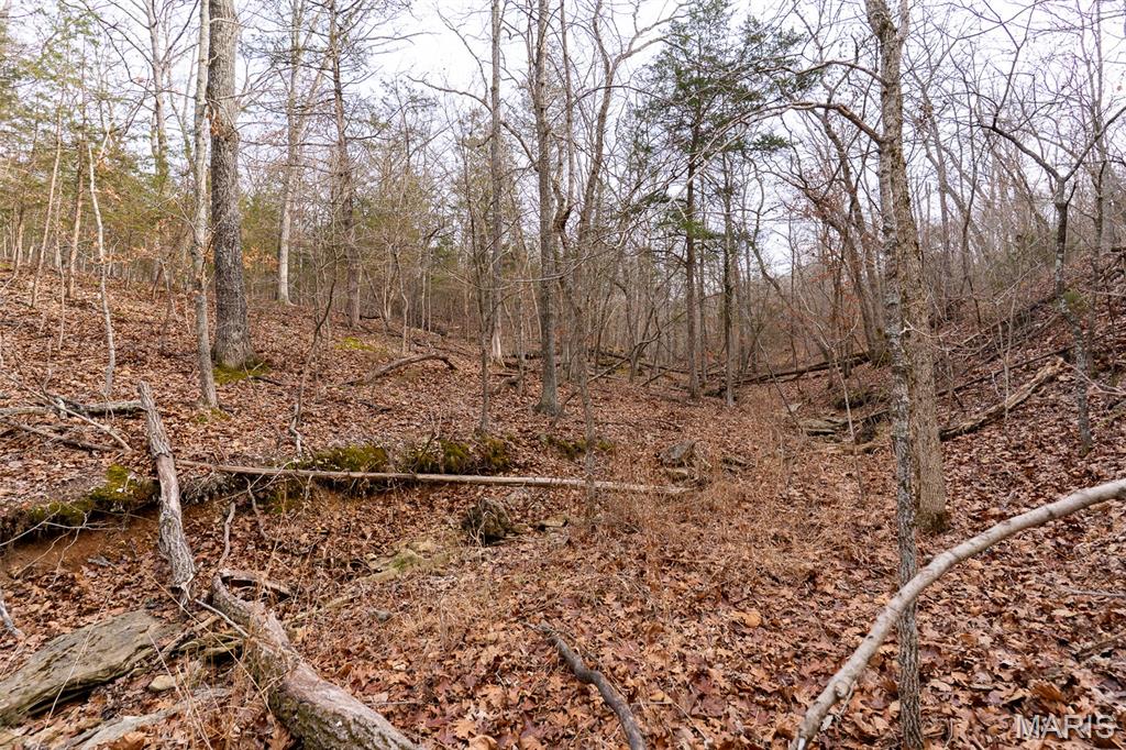 809 Sanctuary Farms Ridge Road Property Photo 17