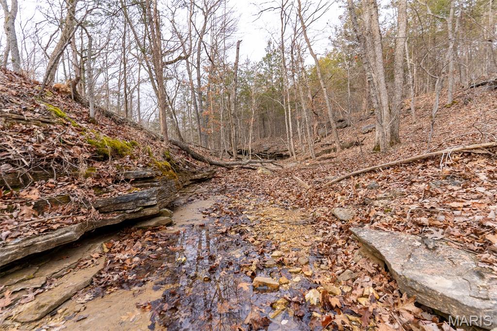 809 Sanctuary Farms Ridge Road Property Photo 19