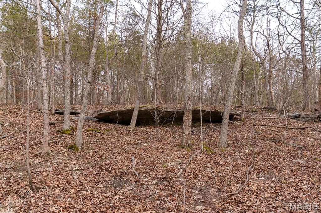 809 Sanctuary Farms Ridge Road Property Photo 20