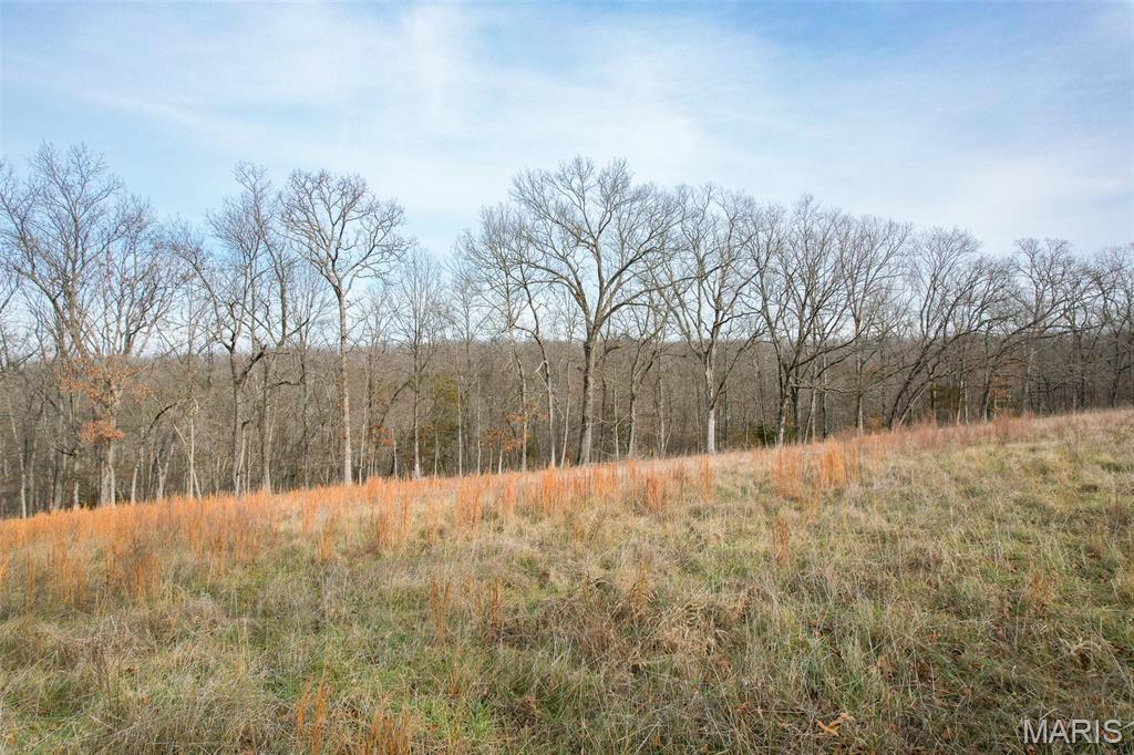 809 Sanctuary Farms Ridge Road Property Photo 29