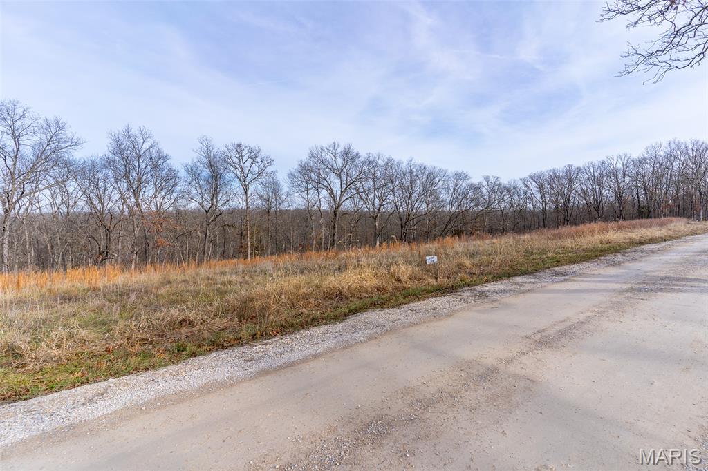 809 Sanctuary Farms Ridge Road Property Photo 33