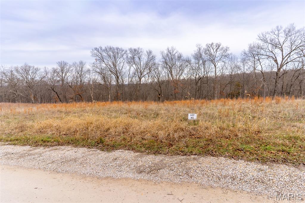 809 Sanctuary Farms Ridge Road Property Photo 35