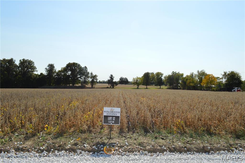11300 Windsor Place Drive Property Photo 1