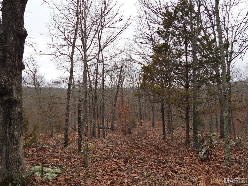 Tbd Cedar Ford Road Property Photo 6