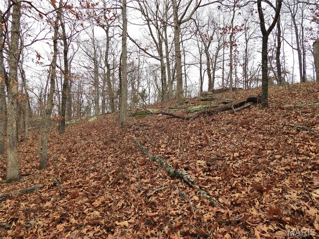 Tbd Cedar Ford Road Property Photo 9
