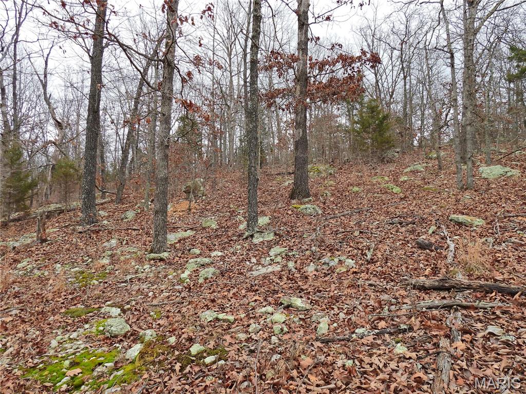 Tbd Cedar Ford Road Property Photo 10