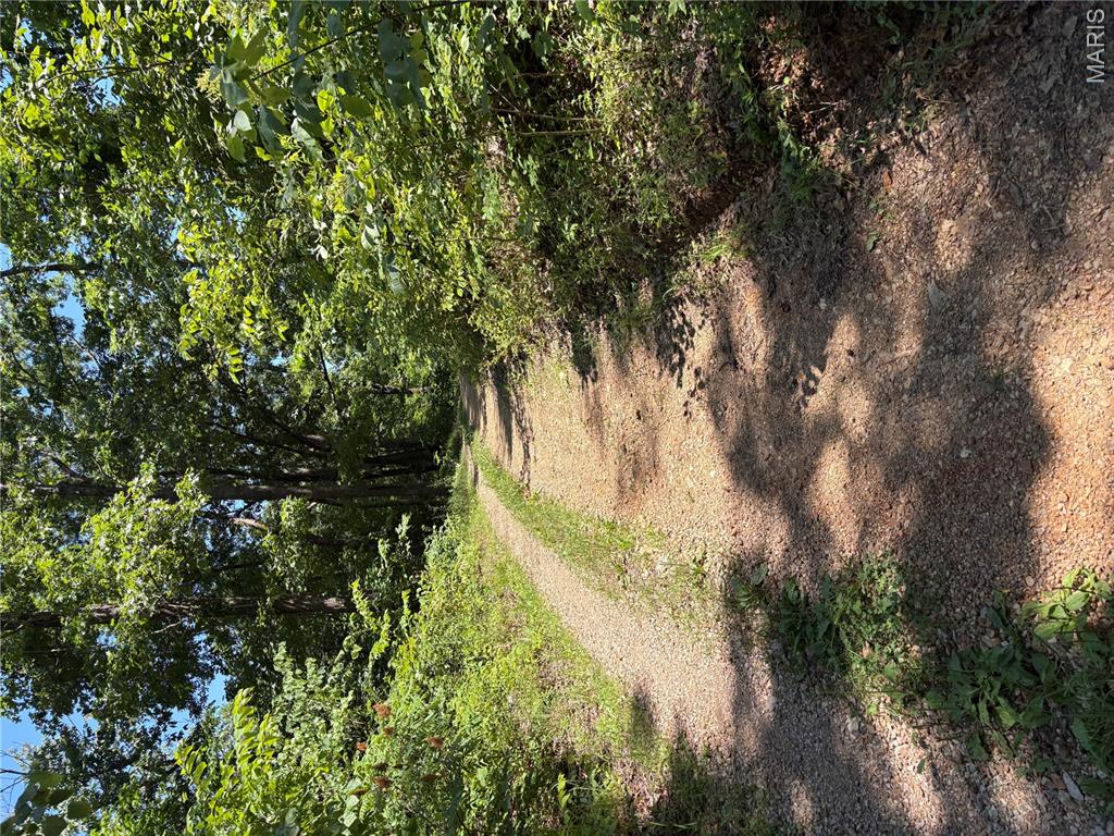 511 A Wayne Property Photo 1