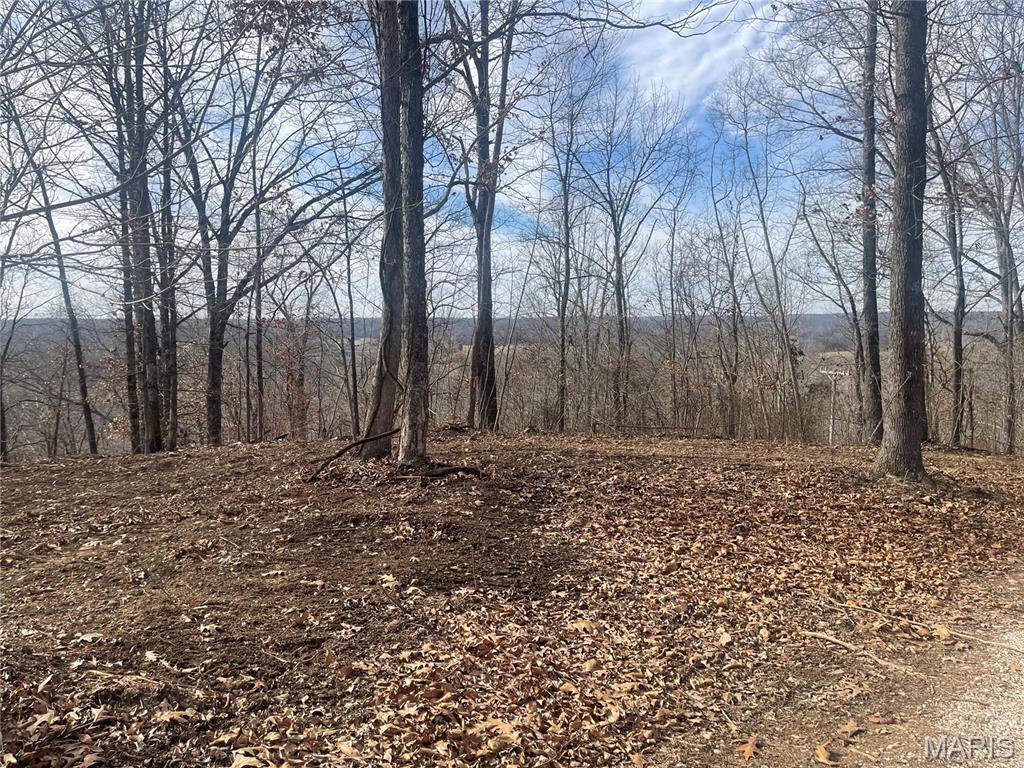 0 Highway W Property Photo 1
