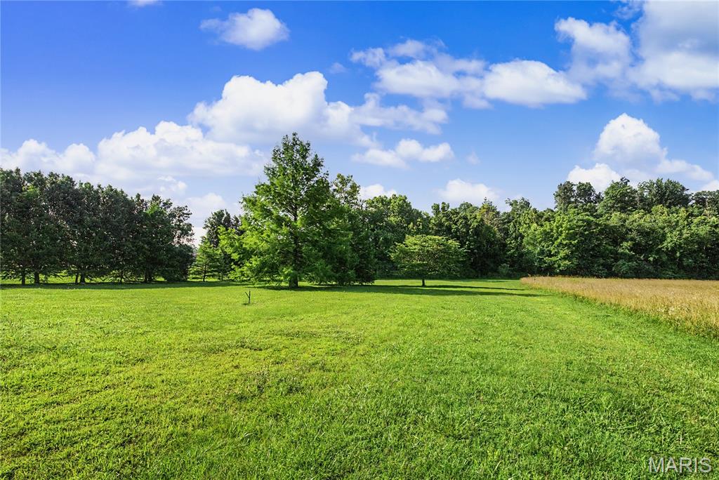 301 State Highway 51 Property Photo 46