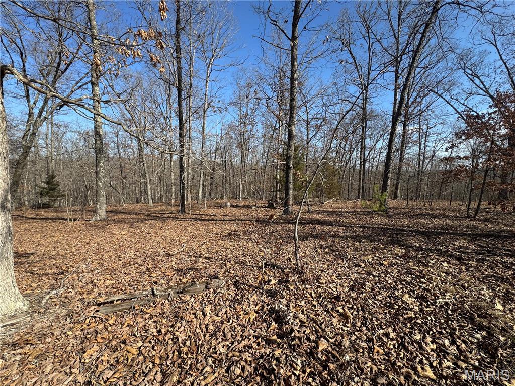 Lot Ee&ee(s) Hidden Valley Lakes Property Photo 2