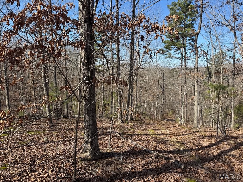 1003 Hidden Valley Lakes Property Photo 1