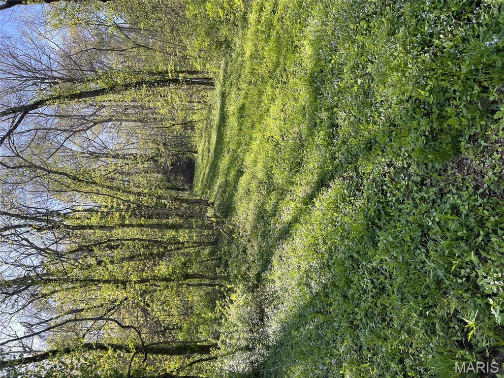 100 Jabin Farm Road Property Photo 1