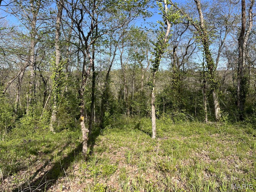 148 Jabin Farm Road Property Photo 1