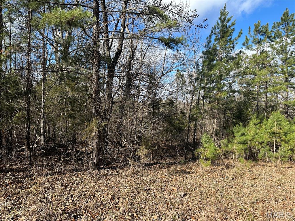 0 Highway 72 Property Photo 5