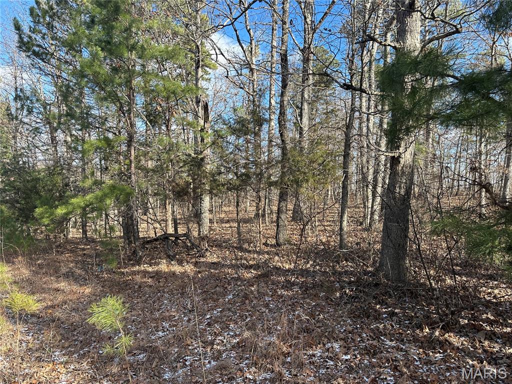 0 Highway 72 Property Photo 6