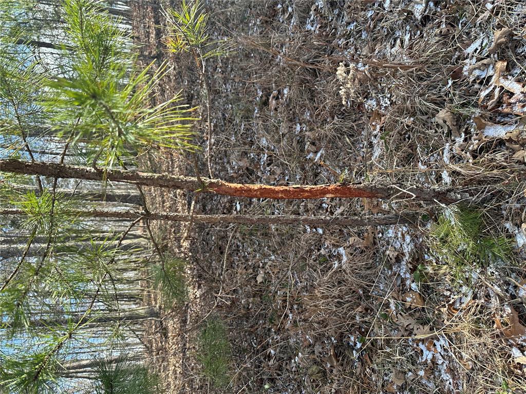 0 Highway 72 Property Photo 16