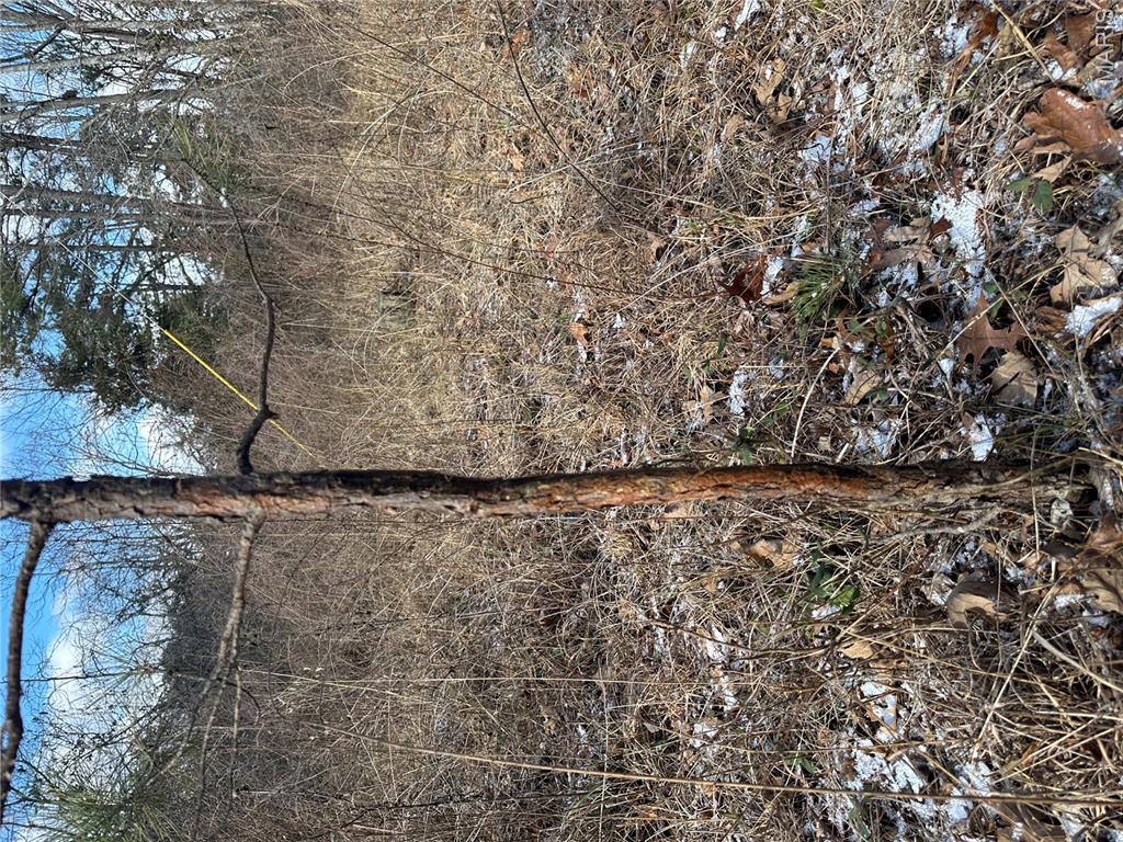 0 Highway 72 Property Photo 17