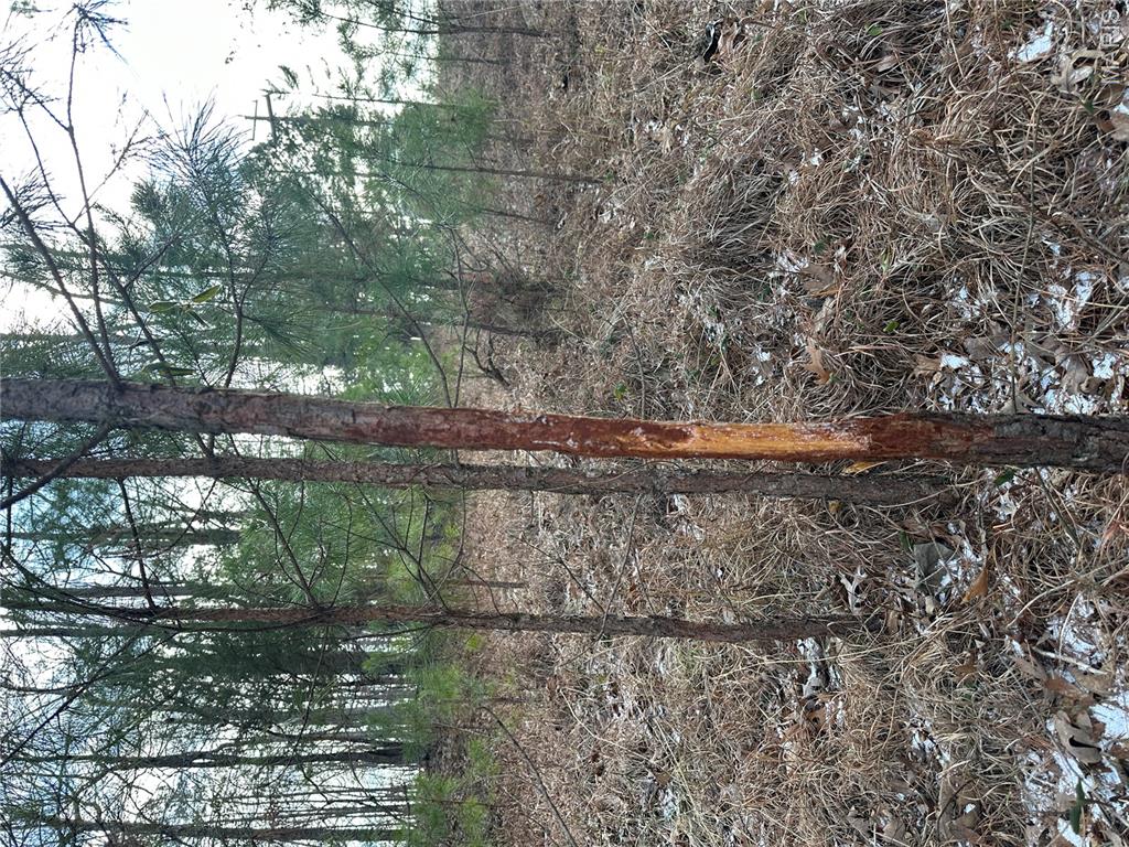 0 Highway 72 Property Photo 18