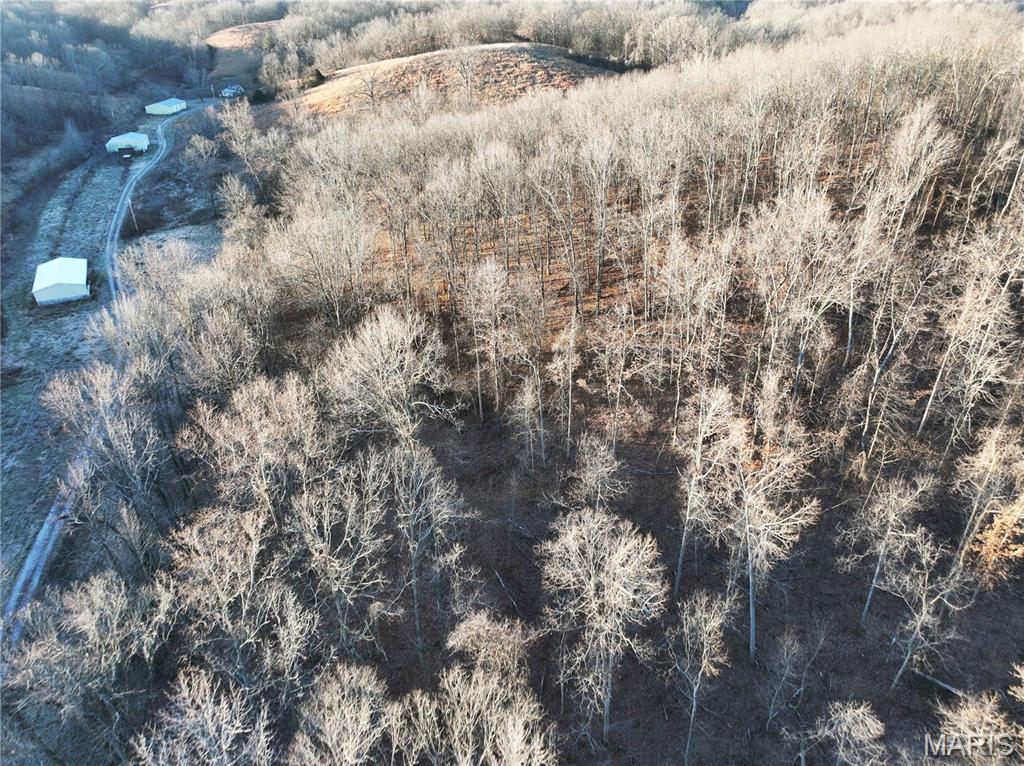 Off Pcr 535 County Road 535 Property Photo 8
