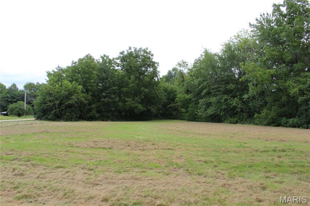 7 Lots Pine E Pine Street Property Photo 1