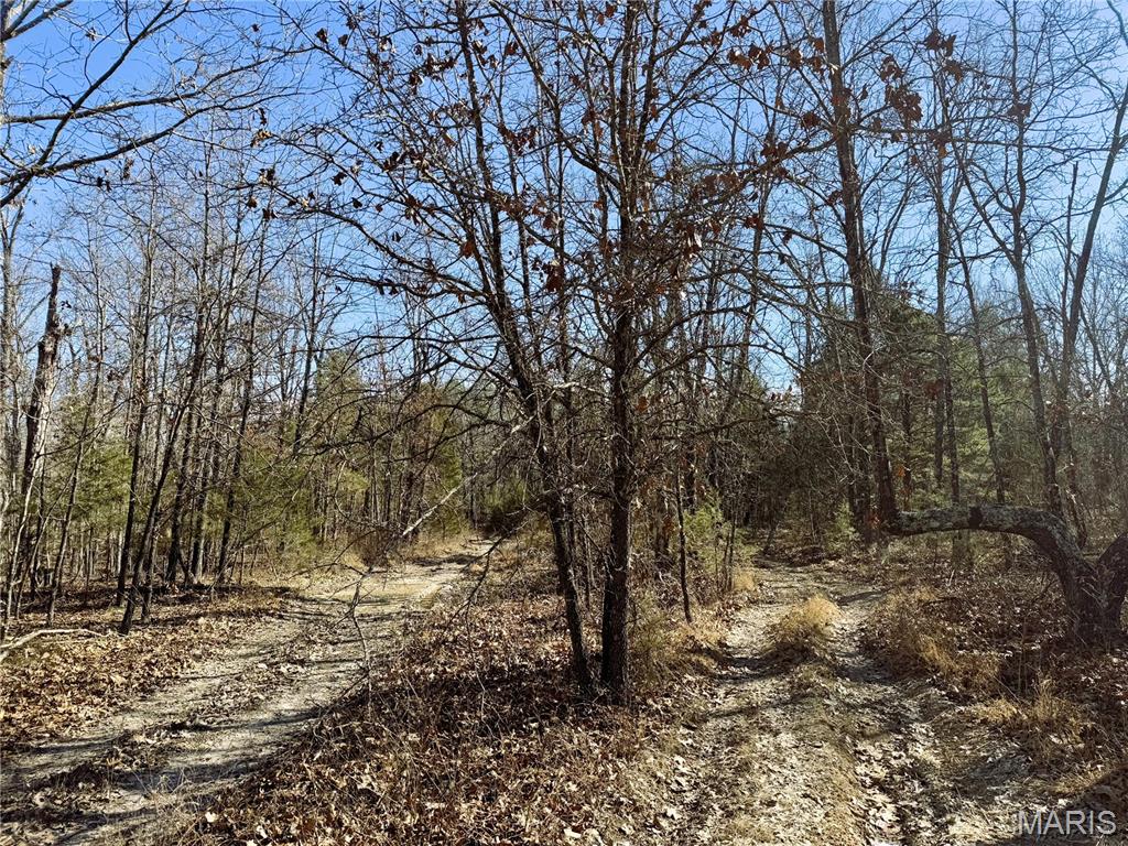 0 Tower Drive Property Photo 3