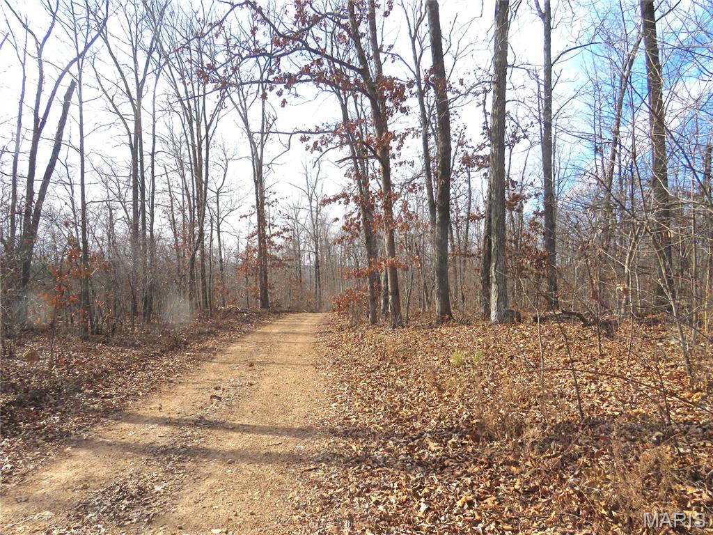 0 County Road 422 Property Photo 1