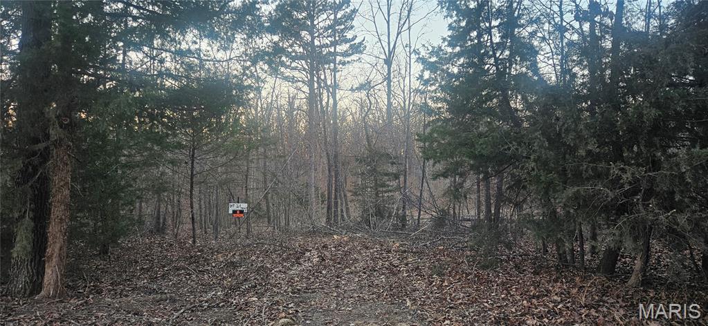 0 Cr 3273 Property Photo 4