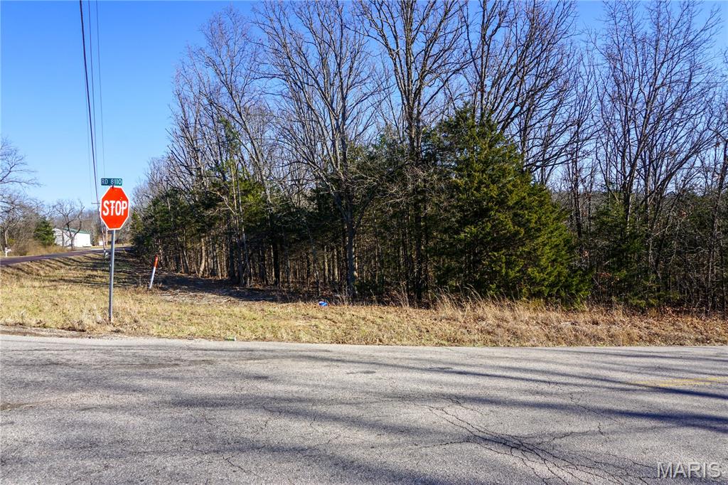 0 State Route Y Property Photo 2