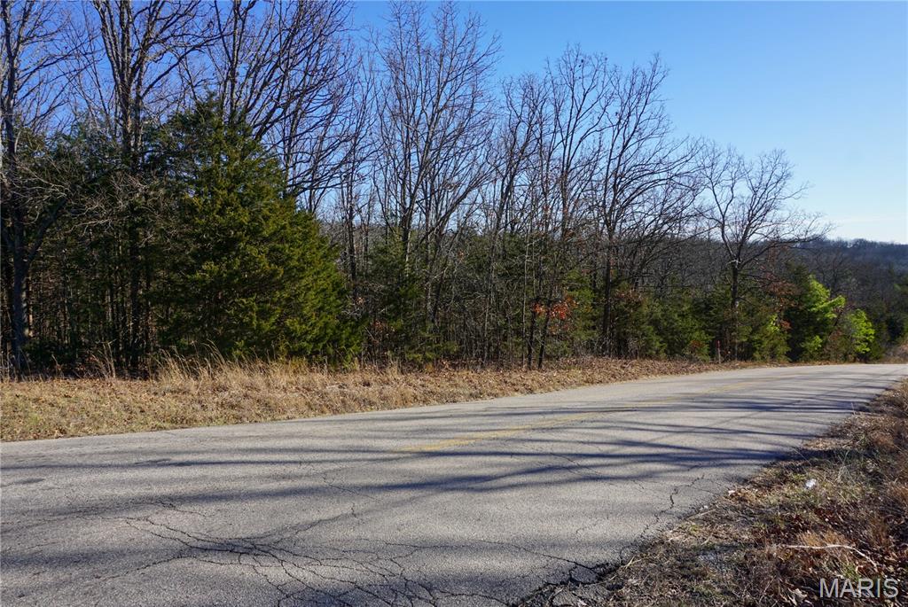 0 State Route Y Property Photo 4