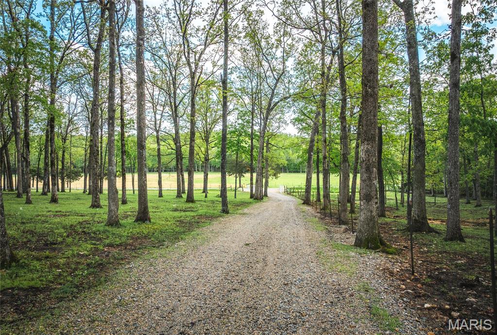 13907 Highway T Property Photo 15