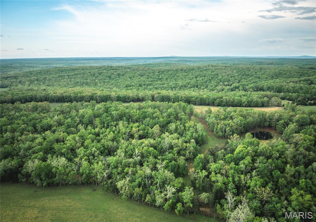 13907 Highway T Property Photo 16