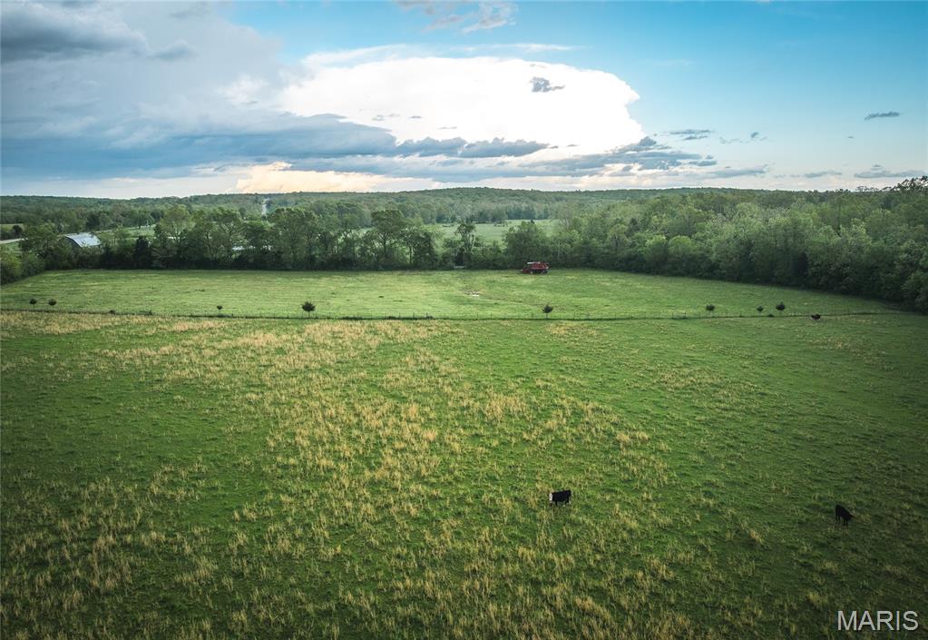 13907 Highway T Property Photo 29