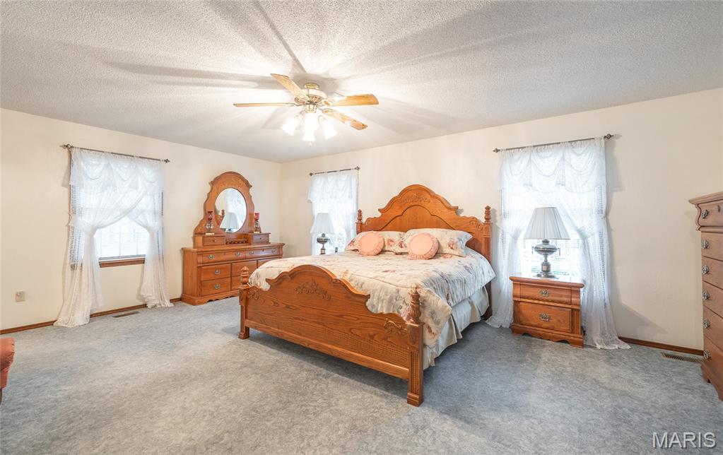 13907 Highway T Property Photo 61