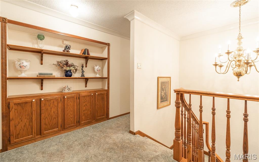 13907 Highway T Property Photo 72