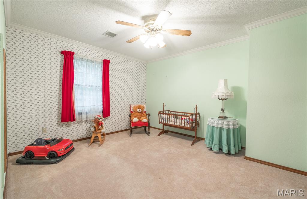 13907 Highway T Property Photo 79