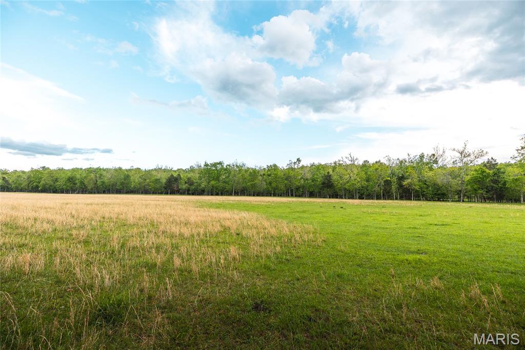 13907 Highway T Property Photo 84