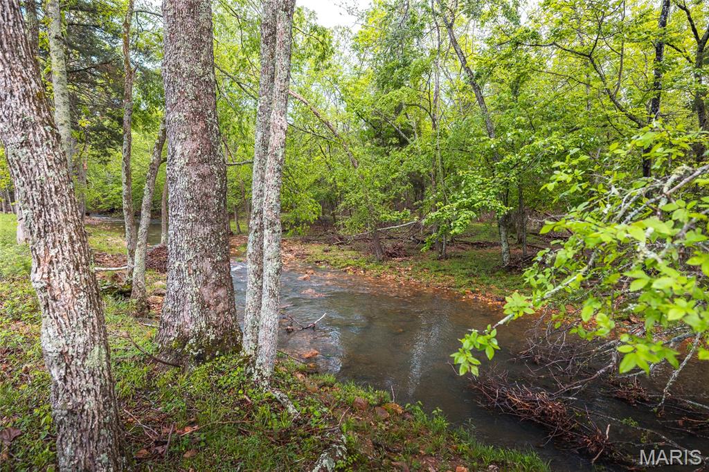 13907 Highway T Property Photo 86