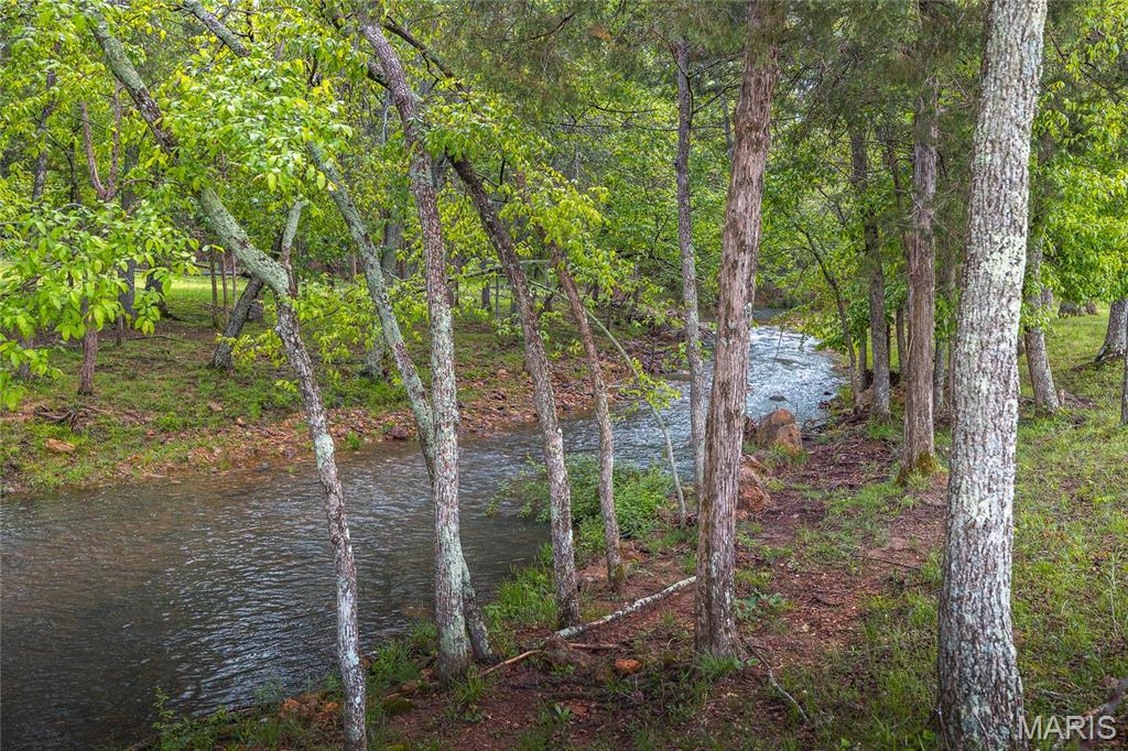 13907 Highway T Property Photo 87