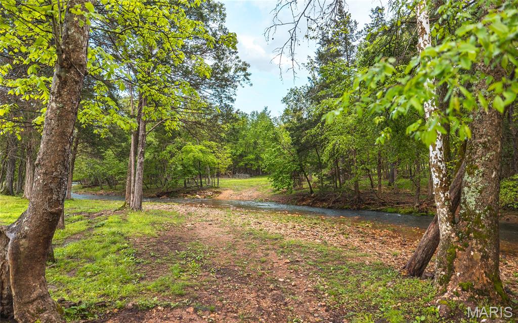 13907 Highway T Property Photo 89