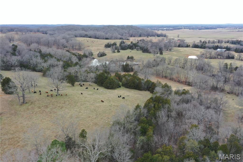 6546 Highway 115 Property Photo 13