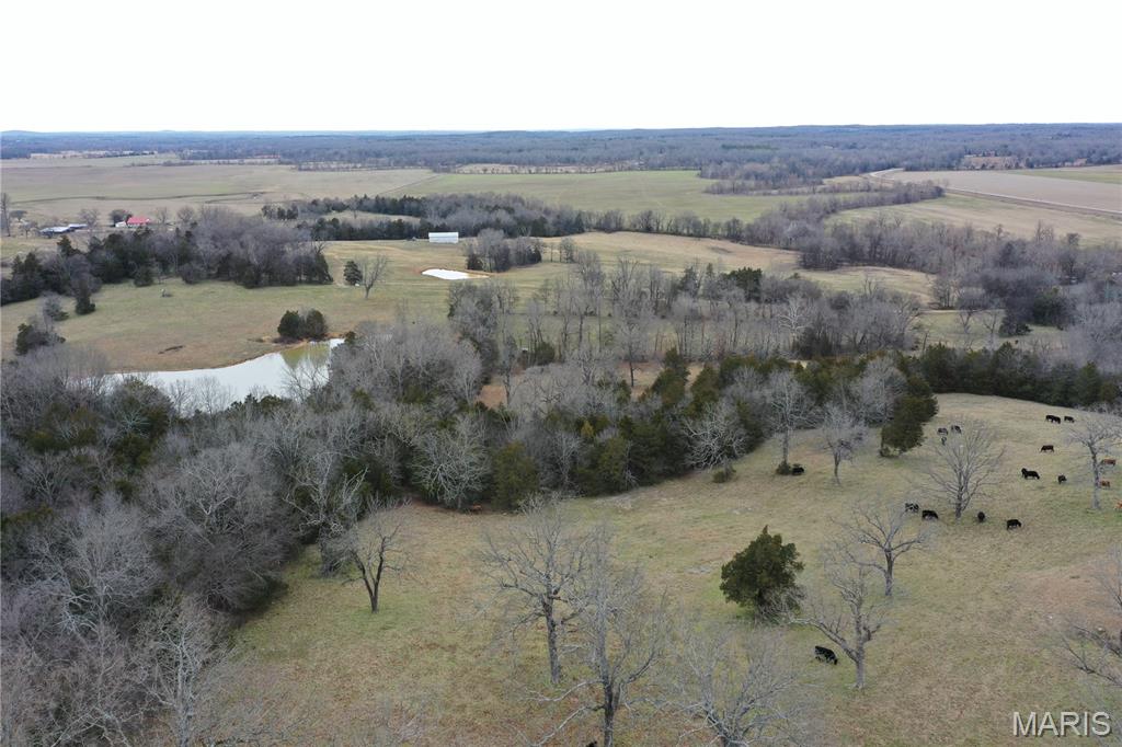 6546 Highway 115 Property Photo 14